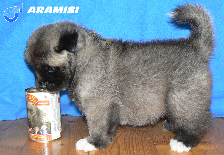 Aramisi